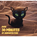 Mindscope Eek the Cat 8 in. Talking Animated Halloween Decor