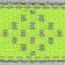 LupinePet Reflective Green Diamond Nylon Dog Adjustable Collar