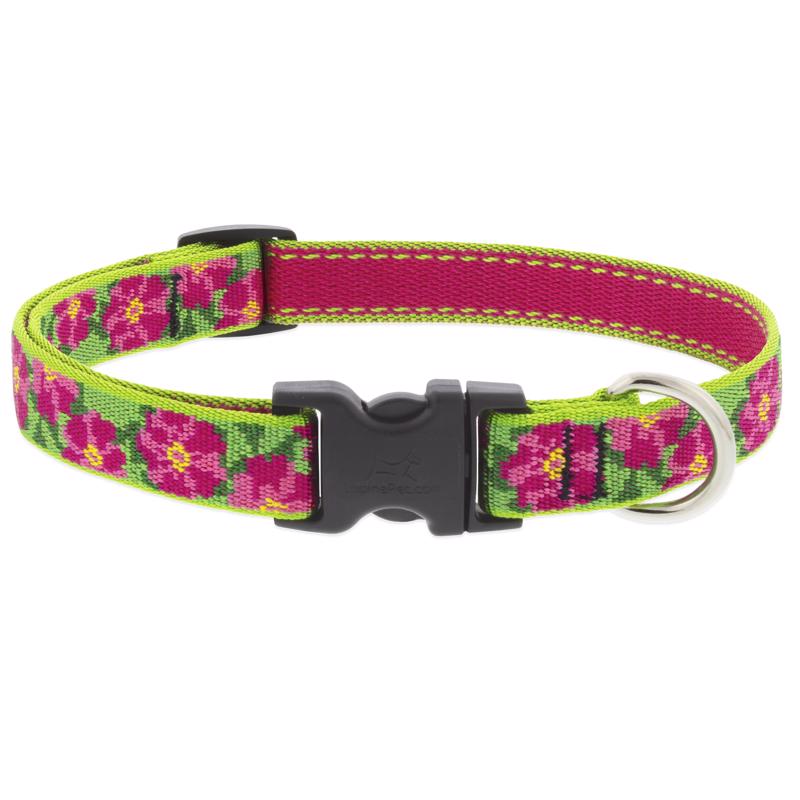 ADJSTBL COLAR DOG 9-14"