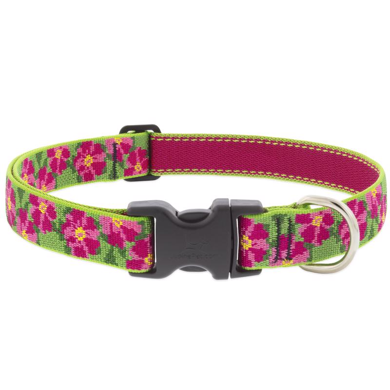 ADJSTBL COLAR DOG 12-20"