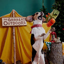 Bark Multicolored Plush Rucksack Dog Toy 1 pk