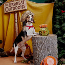 Bark Multicolored Plush Rucksack Dog Toy 1 pk