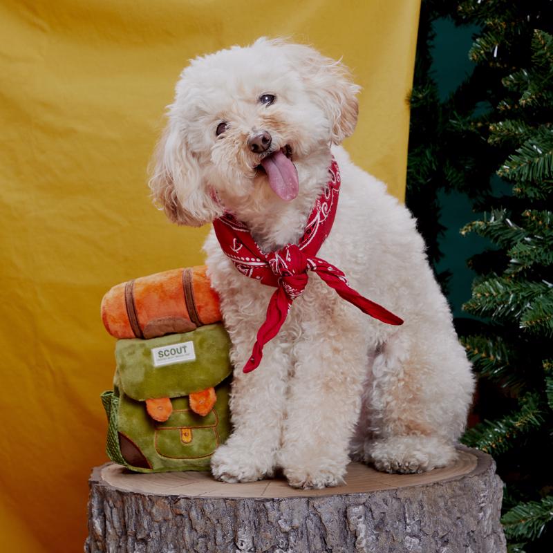 Bark Multicolored Plush Rucksack Dog Toy 1 pk