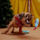 Bark Blue/Red Plush Mike & Mike The Trout Twins Dog Toy 2 pk