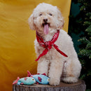 Bark Blue/Red Plush Mike & Mike The Trout Twins Dog Toy 2 pk