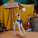 Bark Multicolored Plush Majestic Marty Dog Toy 1 pk