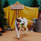 Bark Multicolored Plush Snake Dog Toy 1 pk