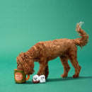 Bark Multicolored Plush Sniff Miss Dog Toy 1 pk