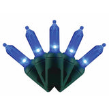 PLAT T5 LIGHTS 50CT BL
