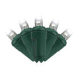 PLAT T5 LIGHTS 50CT PW