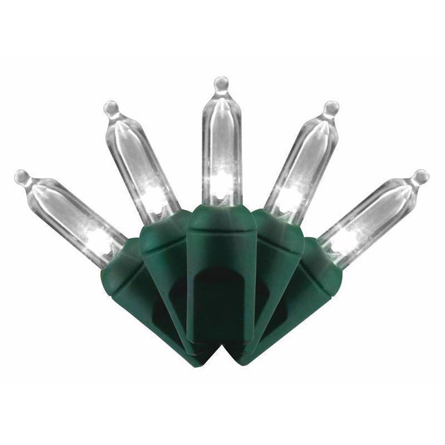 PLAT MINI 50CT PW