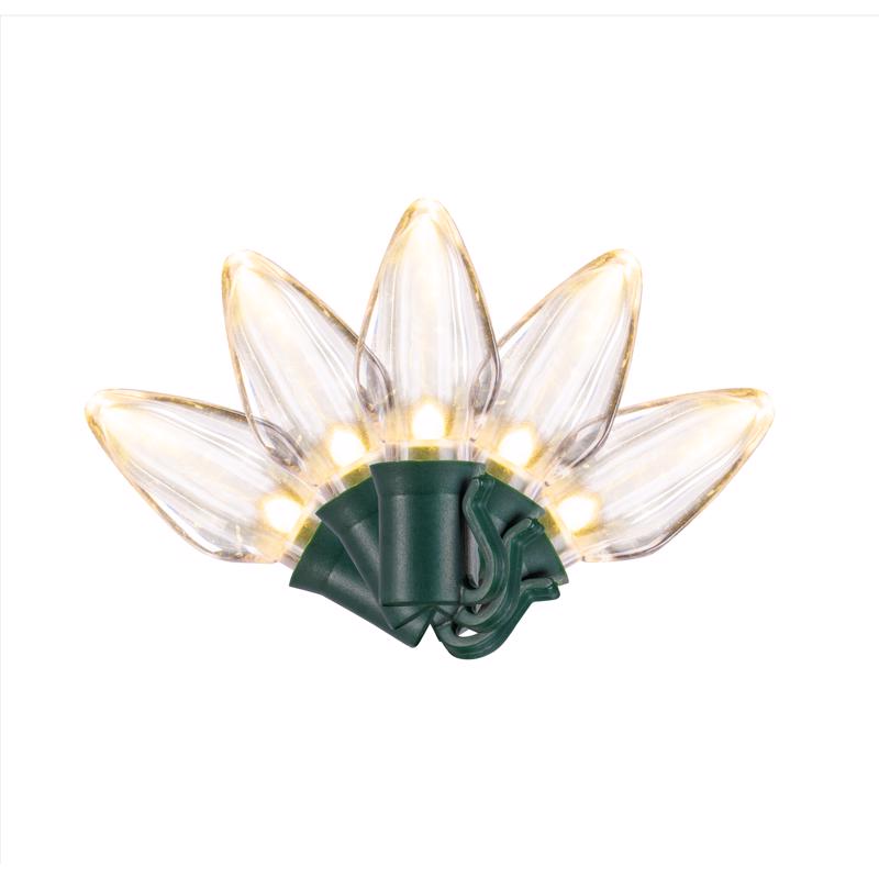 PLAT C7 LIGHTS 50CT WW T