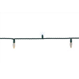 Celebrations Platinum LED C6 White 50 ct String Christmas Lights 25 ft.