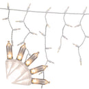 PLAT ICICLE 100CT WW S