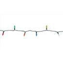 Celebrations Platinum LED C6 Multicolored 50 ct String Christmas Lights 25 ft.