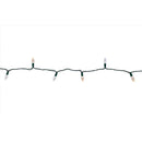Celebrations Platinum LED C6 Multicolored/Warm White 50 ct String Christmas Lights 25 ft.