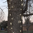 Celebrations Platinum LED Mini Pure White 100 ct Net Christmas Lights 6 ft.