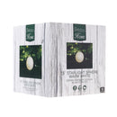 Celebrations LED Warm White Starlight Sphere 7.5 in. Hanging Decor