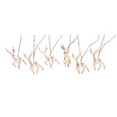 REINDR STRNG LT B/O 10CT