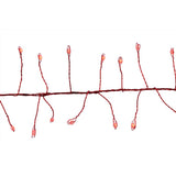 CLSTR LED LGHT RED 250CT