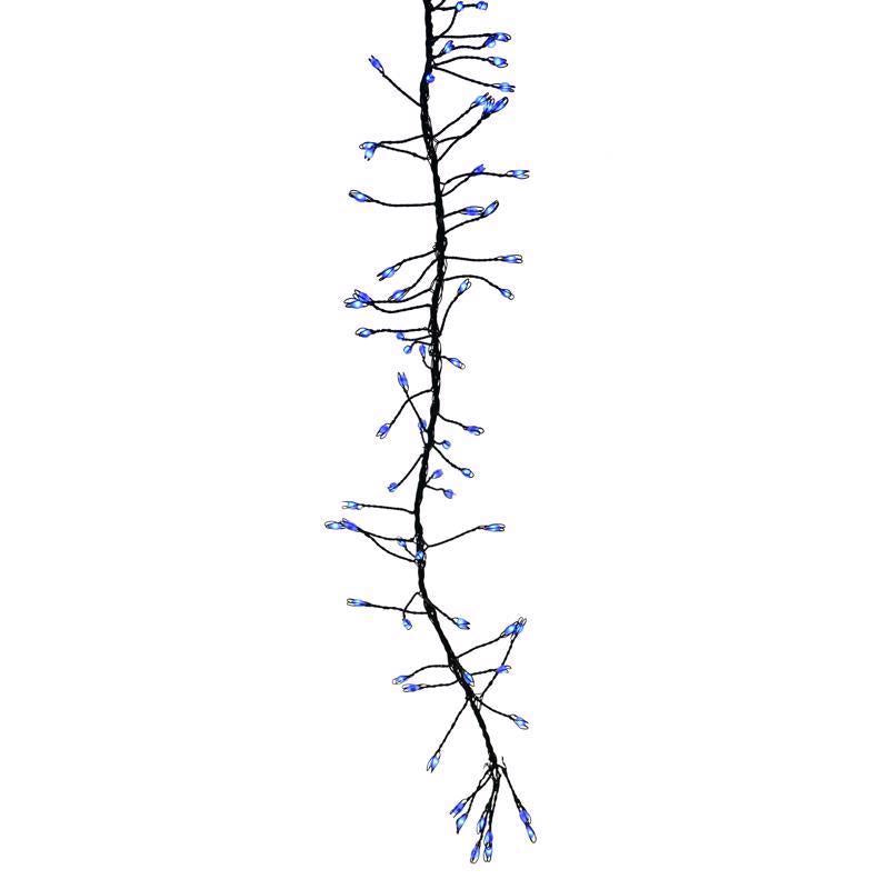 CLSTR LED LGHT BLU 250CT