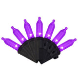 HALLWEEN LIGHT PRPL 100CT