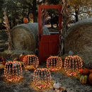 Celebrations White 216 ct 14 in. LED Prelit Short Foldable Pumpkin Tabletop Decor