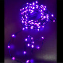 Celebrations Orange/Purple 100 ct LED Ribbon Lights