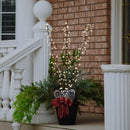 Celebrations LED Warm White Lighted Branches 38 in. Yard Decor