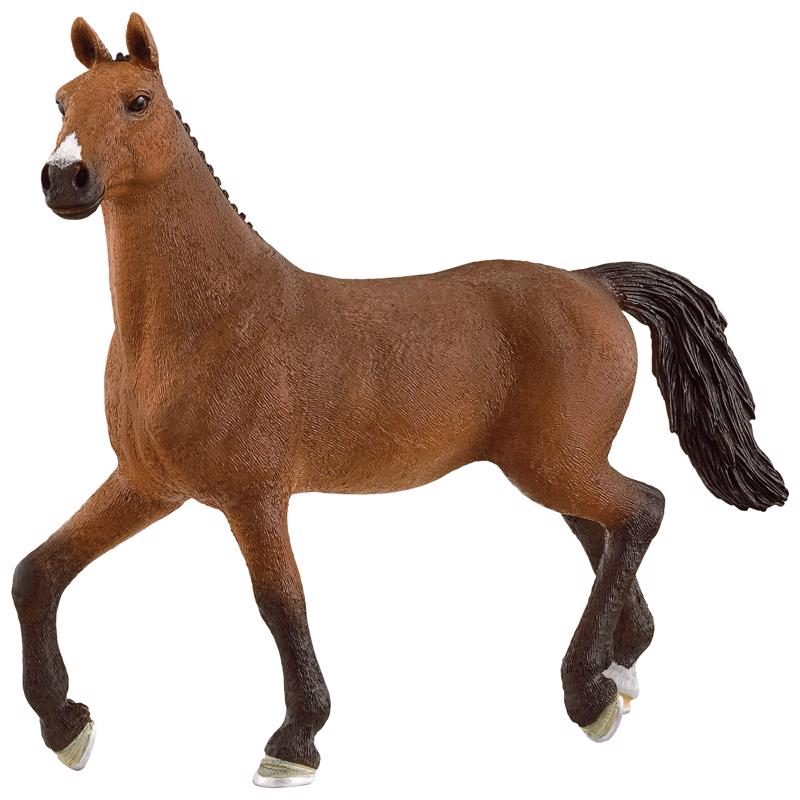 OLDNBRG MARE HORSE BWN