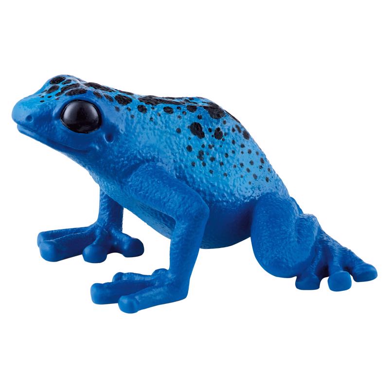 DART FROG BLUE