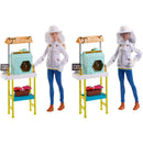 Barbie Careers Playset Assorted