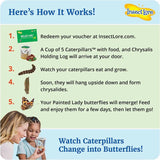 Insect Lore Butterfly Garden Growing Kit Green