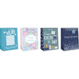 GIFT BAG ADLT BRTHDY MDM