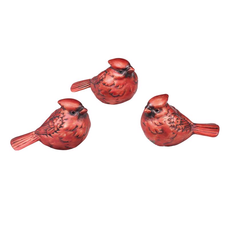 CMAS CARDINAL RED ASST