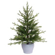 CMAS FRASER FIR PTTED 3'