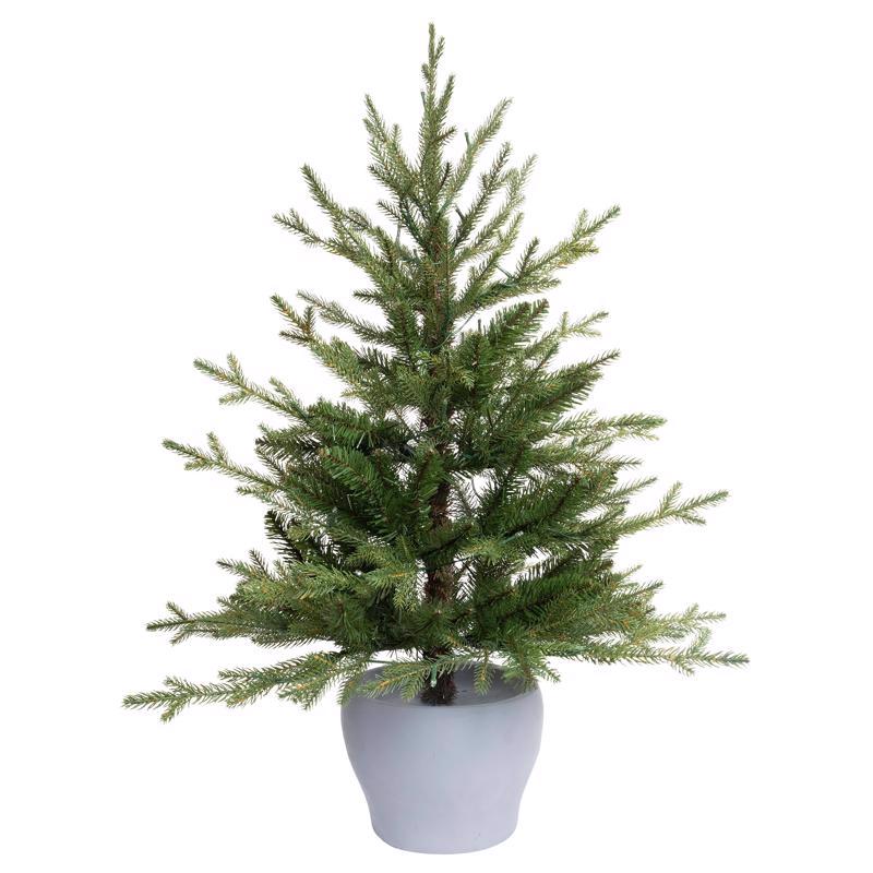 CMAS FRASER FIR PTTED 3'