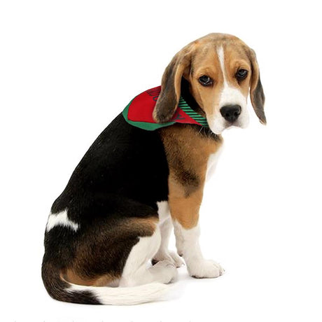 Dyno  Small Bandana Christmas Pet Costume 2 pk