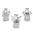 CMAS ANGEL GLSS ASST
