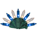 LGHT BLU/WHT LED 100CT