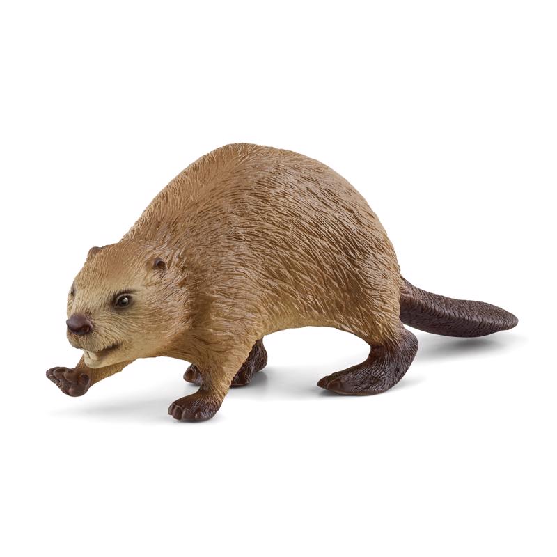 BEAVER TOY SYNTHETC