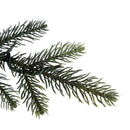 Holiday Bright Lights 7-1/2 ft. Full LED 2250 ct Emerald Pine Sparkle Color Changing Christmas Tree