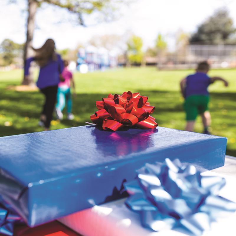 Hennessy Gift Wrap Repeat-A-Bow Blue Gift Bows