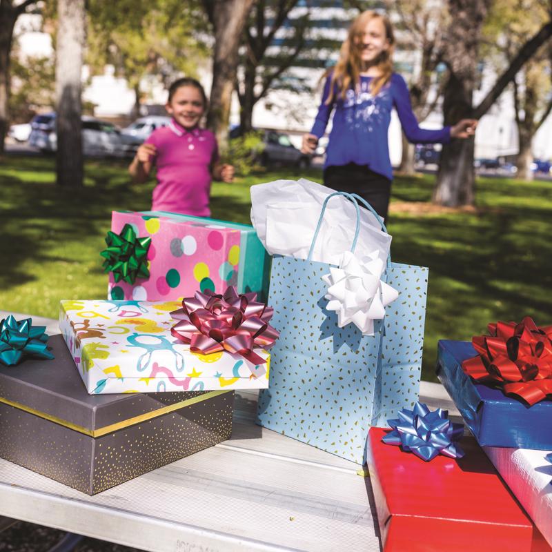 Hennessy Gift Wrap Repeat-A-Bow Teal Gift Bows
