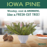 Mrs. Meyer's Clean Day Iowa Pine Scent Hand Cleaner Refill 33 fl. oz.