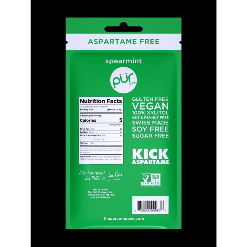 PUR Sugar Free Spearmint Chewing Gum 1 pk 55 pc