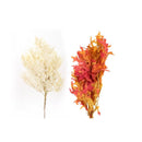 Second Nature Woodsy Oak Leaves Fall Decor