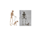 Fun World 14 in. Skeleton Walker Asst Halloween Decor