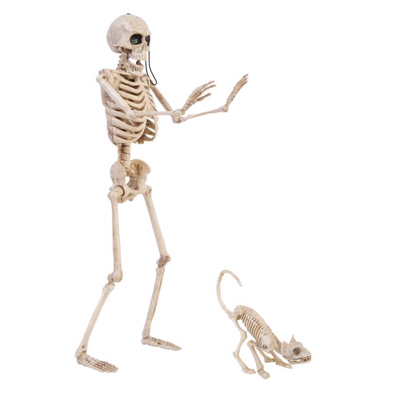 Fun World 14 in. Skeleton Walker Asst Halloween Decor