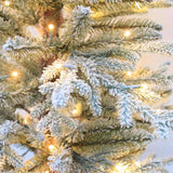 Celebrations 4 ft. Full LED 100 ct Entrance Tree